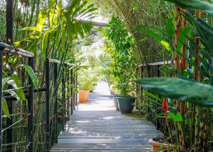 Danyasa Eco-Retreat