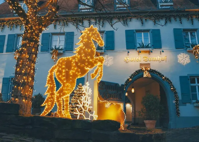 Hotel Domhof