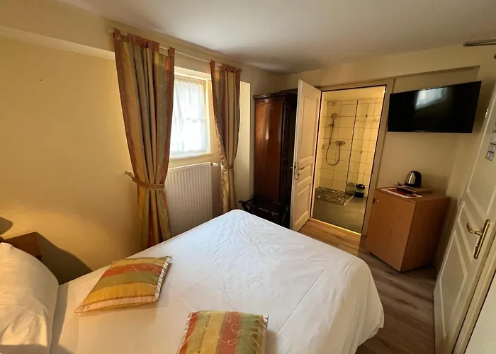 La Cour Du Bailli Suites & Spa Bergheim