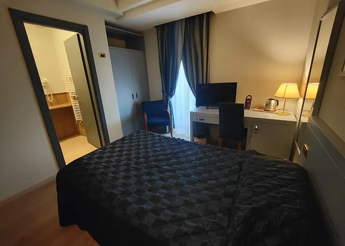 Hotel Lemi