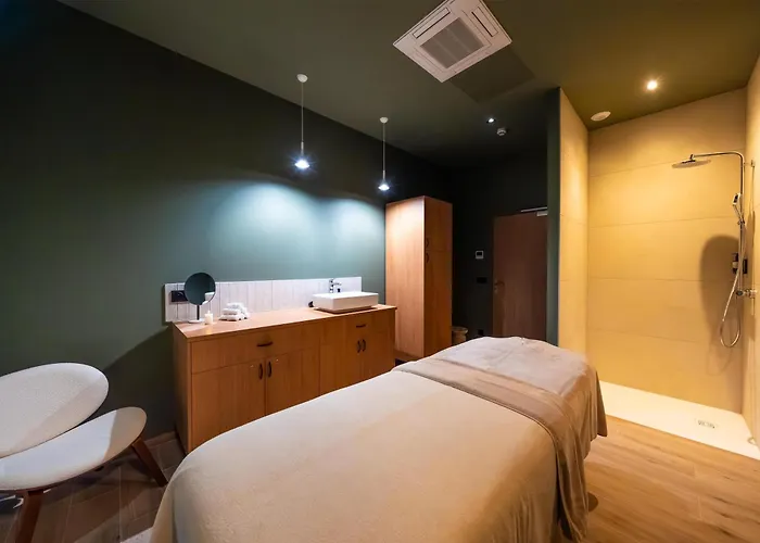 Best Western Premier Clos Syrah Hotel & Spa Valence 