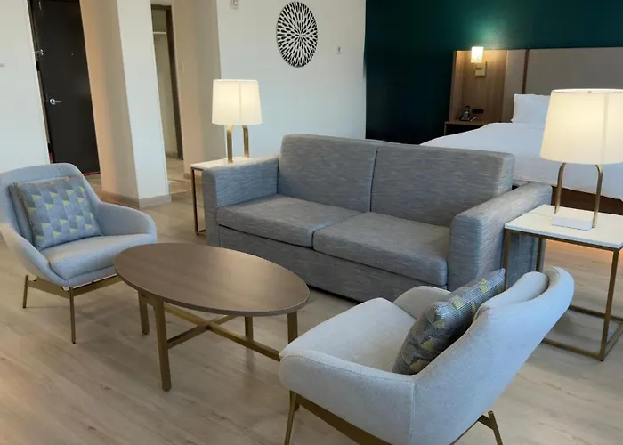 Holiday Inn Houston S - Nrg Area - Med Ctr By Ihg