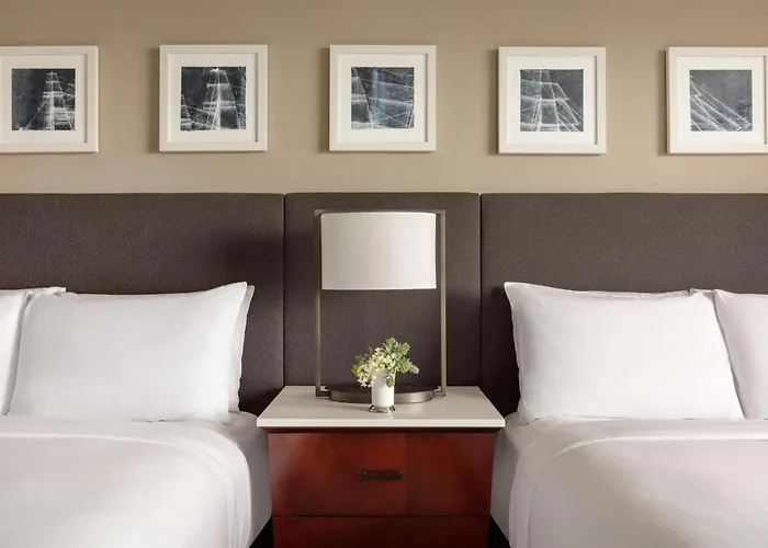 Champlain Burlington, Curio Collection By Hilton