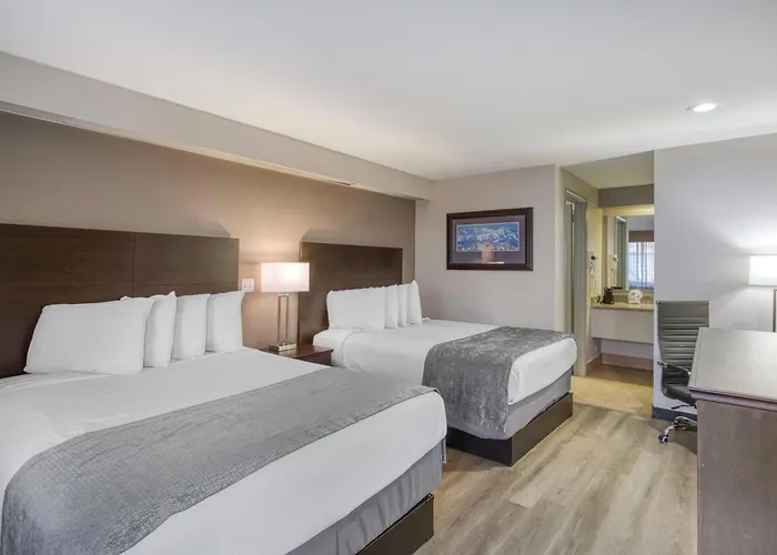 Surestay By Best Western Downtown