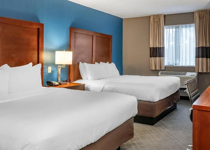 Comfort Inn University