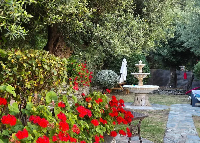 Hotel U Sant'Agnellu Rogliano