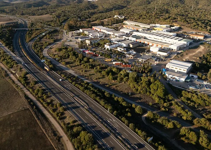 La Palmosa
