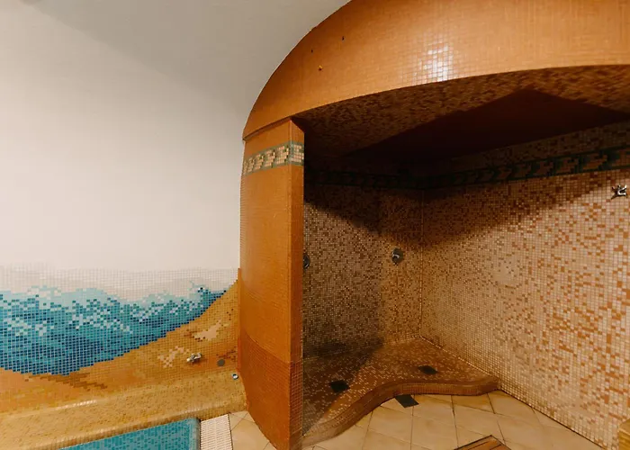 Duna Wellness Hotel Baja