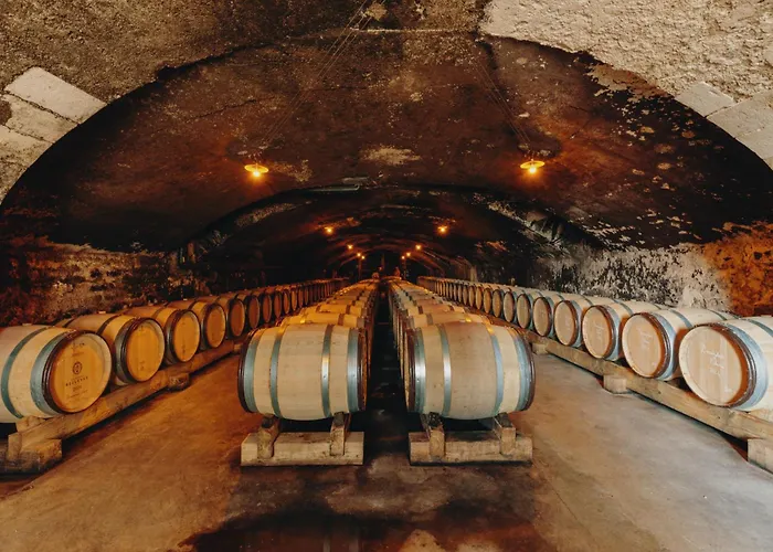 Château Bellevue-Domaines Loron