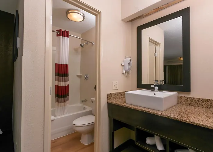 Red Roof Inn Plus+ Washington Dc - Manassas