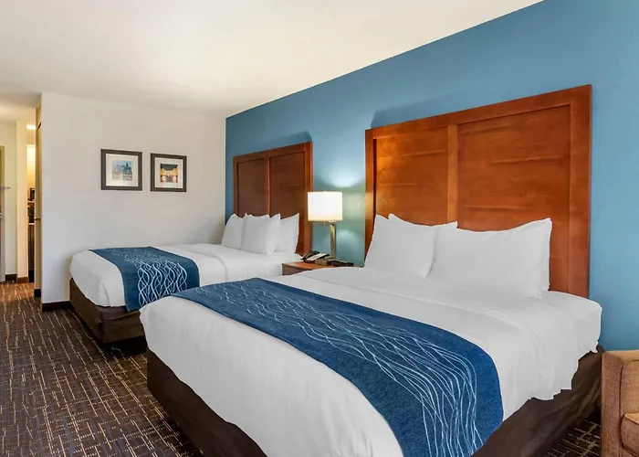 Comfort Inn & Suites Lees Summit - Kansas City