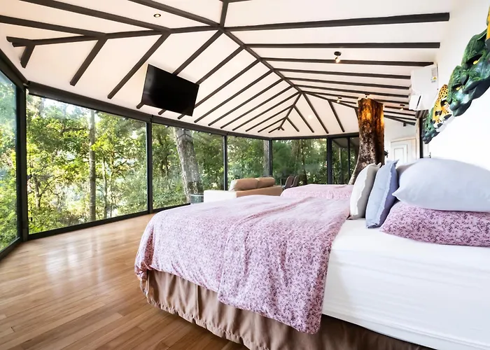 Dantica Cloud Forest Lodge San Gerardo de Dota