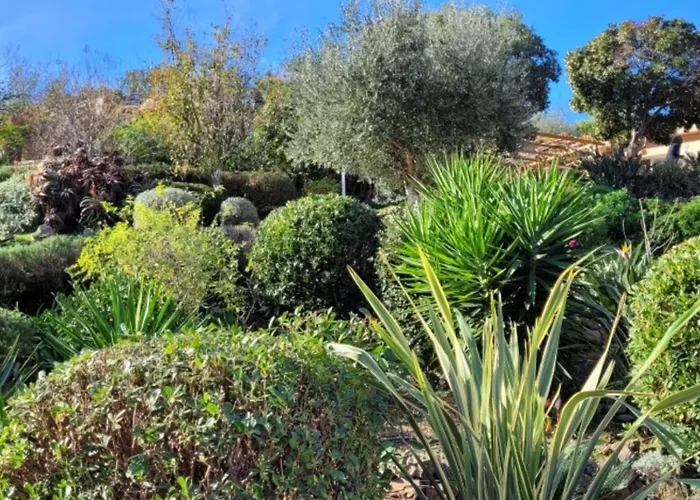 Villa Mimosa