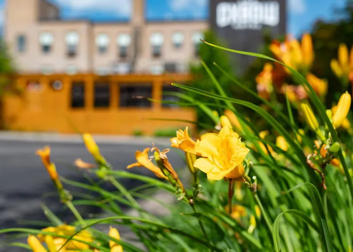 The Oxbow Hotel Eau Claire