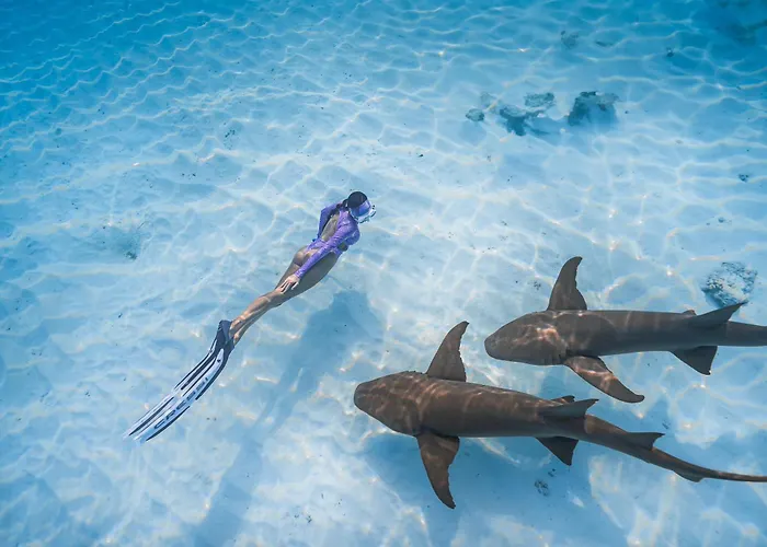 Fushifaru Maldives Hotel