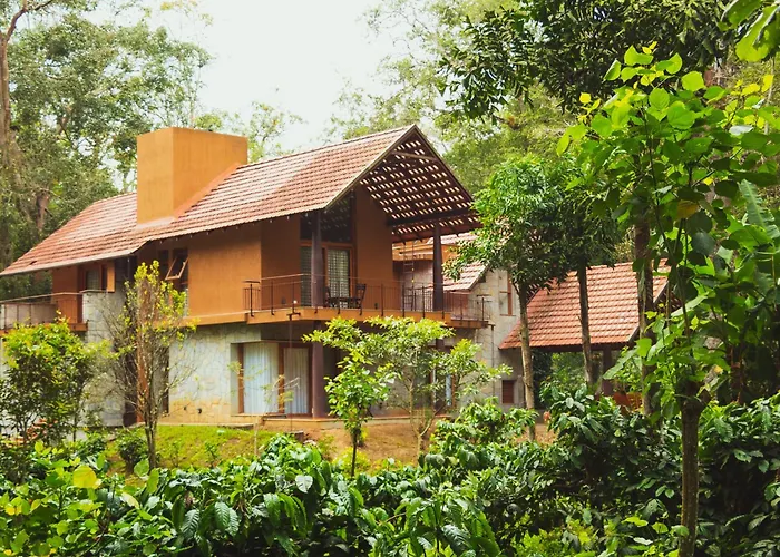 The Birchwood Retreat, Madikeri