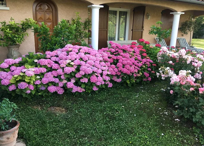 Le paradis de la Provence
