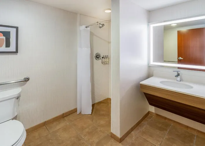 Holiday Inn Frisco By Ihg