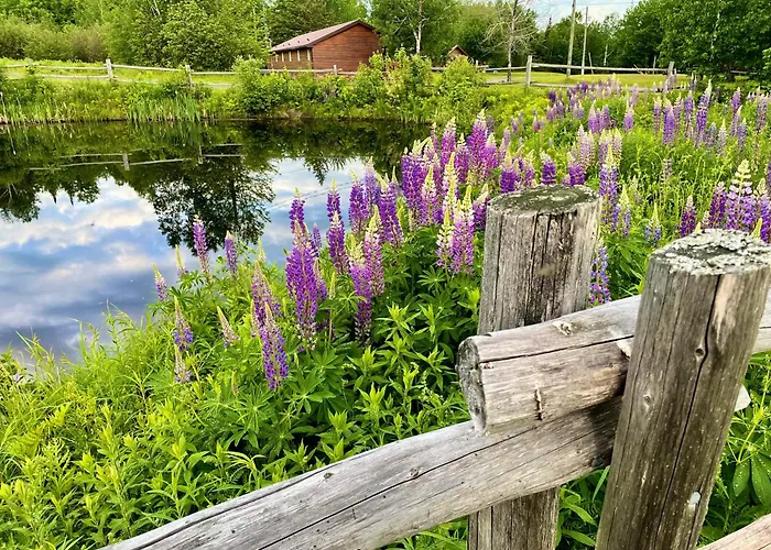 Four Nature Resort