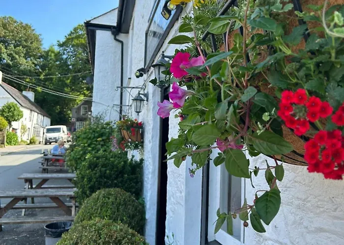 The New Inn