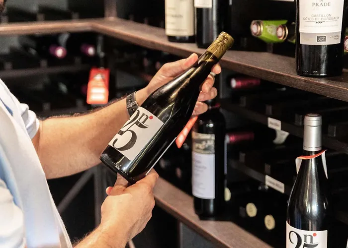 Ibis Narbonne