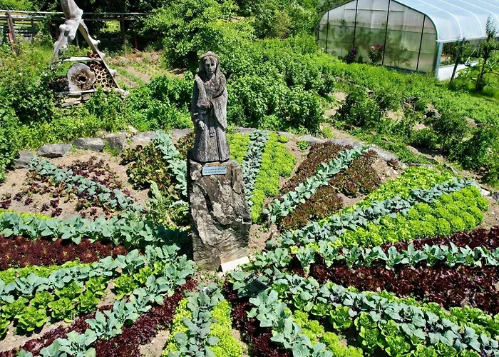 Der Baeren In Zell