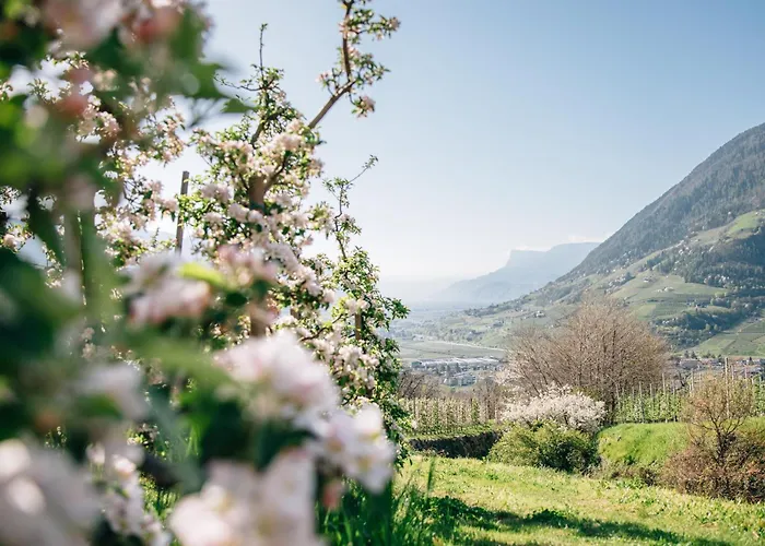 Ferienwohnungen St Hippolyt mit Hallenbad Algund