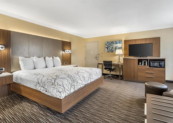 Best Western Airpark Hotel - Lax Airport La Stadium
