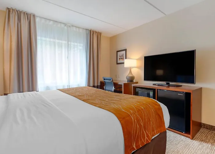 Comfort Inn & Suites Wilkes Barre - Arena