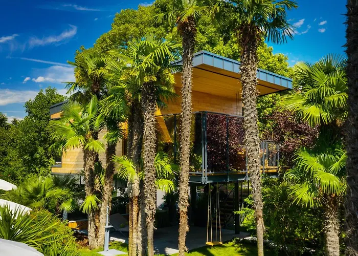 Treelodgy, The Tree House