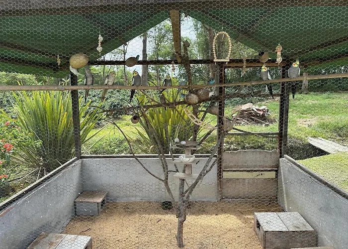 Cabaña la guitarra