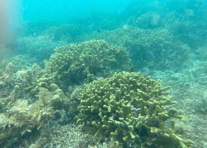Dang Dang Balbago Beach-Private Remote Island Escape El Nido