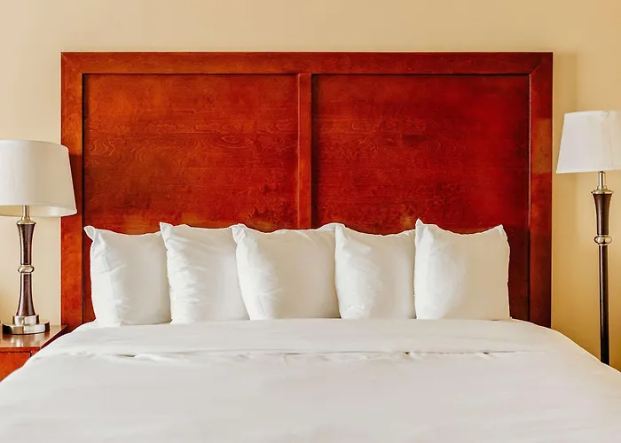 Comfort Near Fairplex