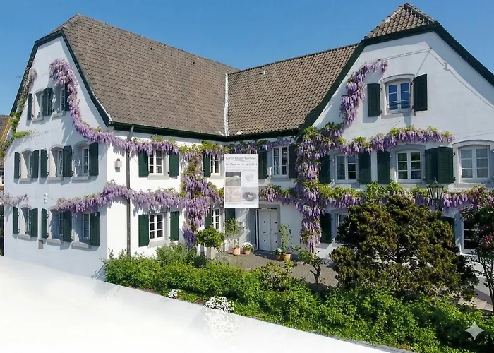 Rhein River Guesthouse - direkt am Rhein