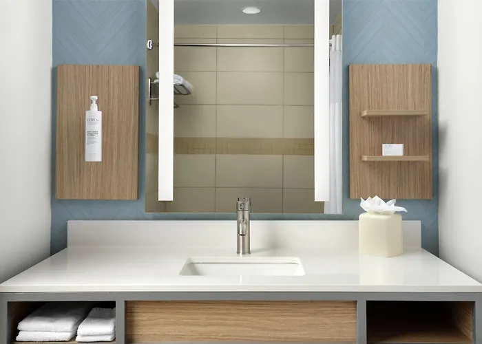 Hilton Garden Inn Tampa East Brandon