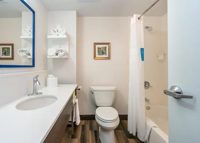 Hampton Inn & Suites Flagstaff - West