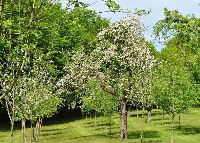 Waldhotel Rheinbach