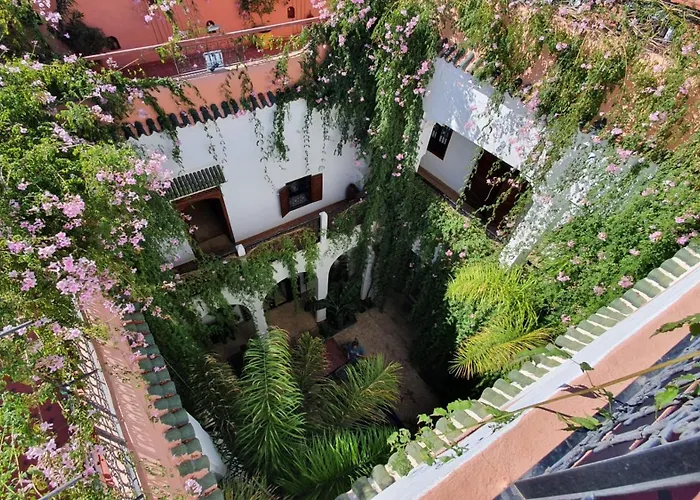 Riad le dromadaire bleu by Weekome