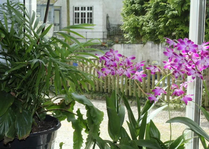 Penryn House