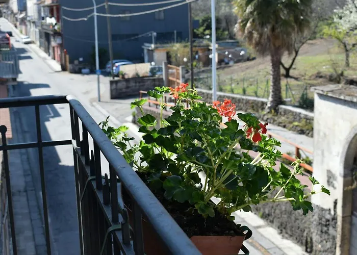 B&B L' Aquila dell' Etna