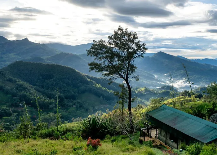 Madulkelle Tea And Eco Lodge
