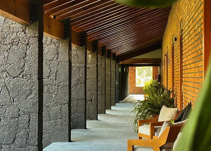 Orgánico Boutique