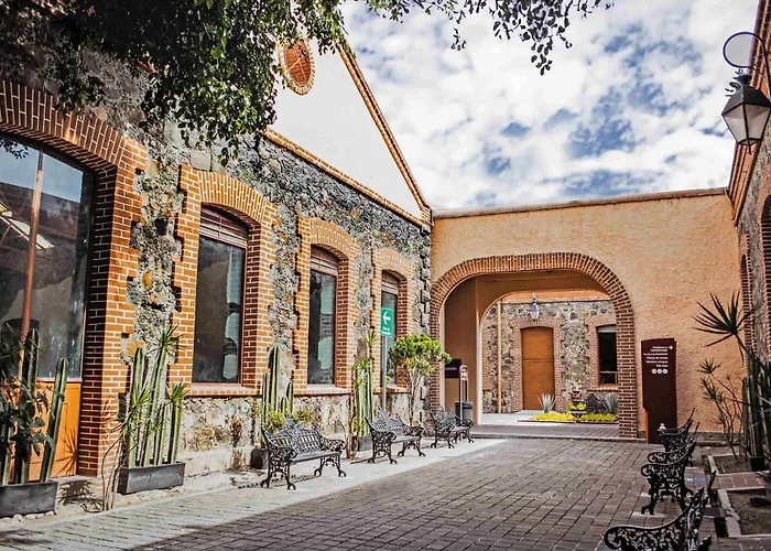 IMSS -Metepec