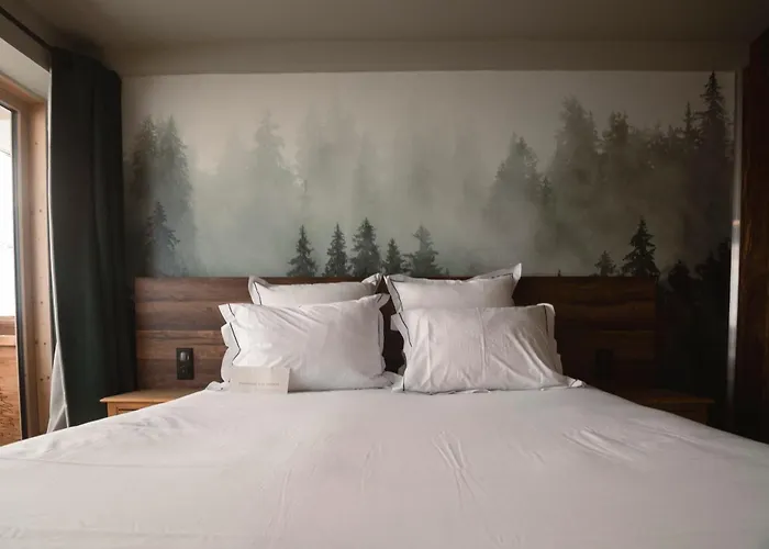 Les Cèdres - Hôtel - Restaurants - Spa Saint-Sorlin-dʼArves