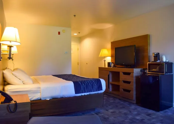 Comfort Inn Bellingham