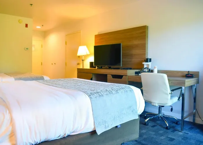 Comfort Bellingham