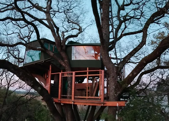 B&B La Cabane Insolite