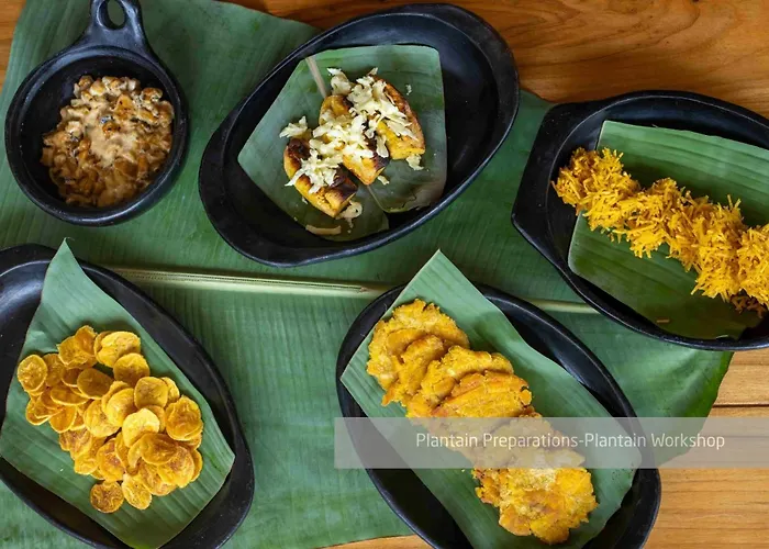 Hacienda Venecia Coffee Farm Hotel San Peregrino