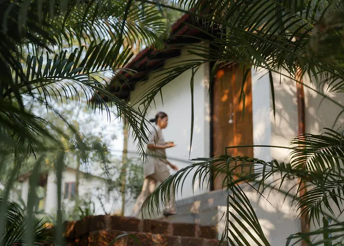 The Postcard Velha, Goa