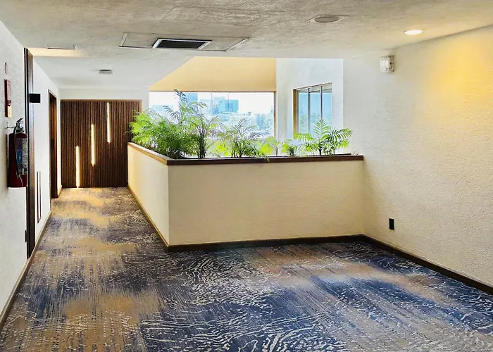 Hotel Guadalajara Plaza Ejecutivo